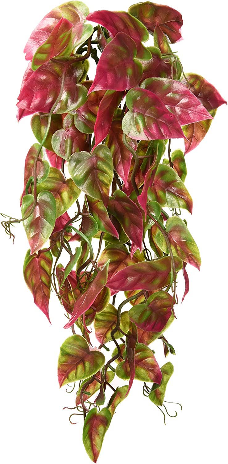 Reptology Decorative Hanging Plant Vines – Green & Red