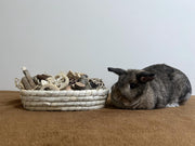 31PCS Natural Rabbit Chew Toys Set for Small Pets Dental Care