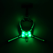 LED Dog Harness