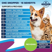 Beloved Pets Cat & Dog Liquid Multivitamin with Glucosamine & Cranberry