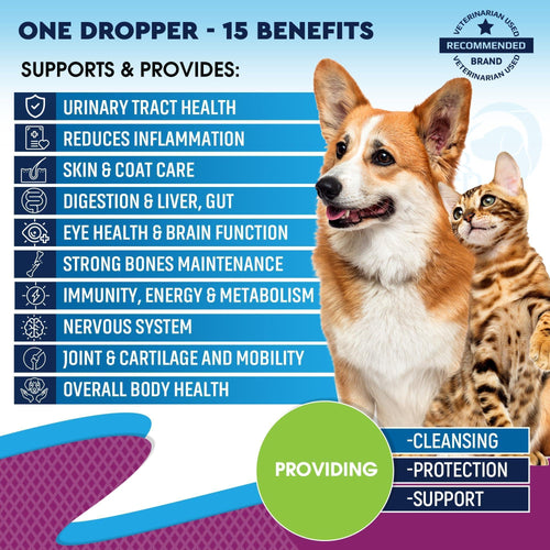 Beloved Pets Cat & Dog Liquid Multivitamin with Glucosamine & Cranberry