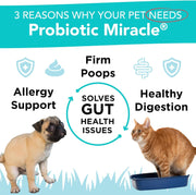 Dog Probiotics Powder 360 Scoops Digestive Enzyme Diarrhea Relief Immune