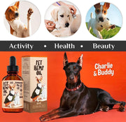 Hemp Oil for Dogs & Cats – Skin, Coat & Joint Support