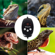 Reptile Thermostat PID Dimming Controller Digital Heat Lamp Temp Control 300W