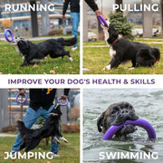 Dog Ring Fetch & Tug Toy – Medium, 2 Rings