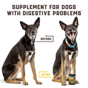 Green Lawn Support Chews for Dogs