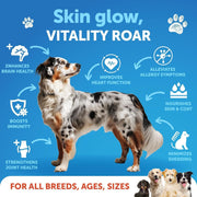 Artullano Wild Alaskan Salmon Oil for Dogs – 8 fl oz
