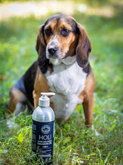 HOLI Icelandic Salmon Oil for Dogs | Extra Virgin - Pristine Pet Supply
