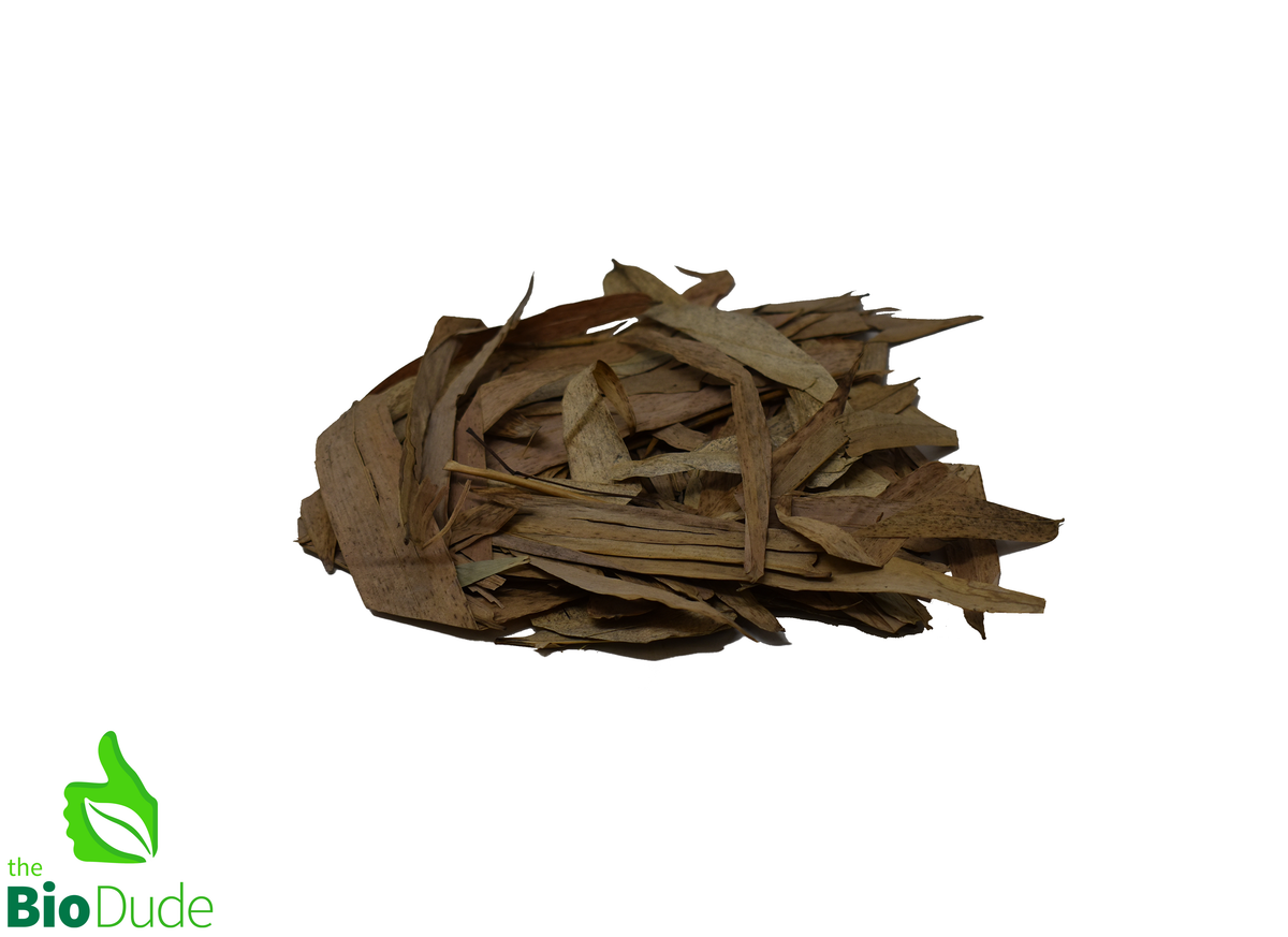 The Bio Dude Reptile Decor – Colombian Bamboo Leaf Litter, 1.5 oz