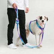 Comfort Control Dog Leash - 90s Retro: OS