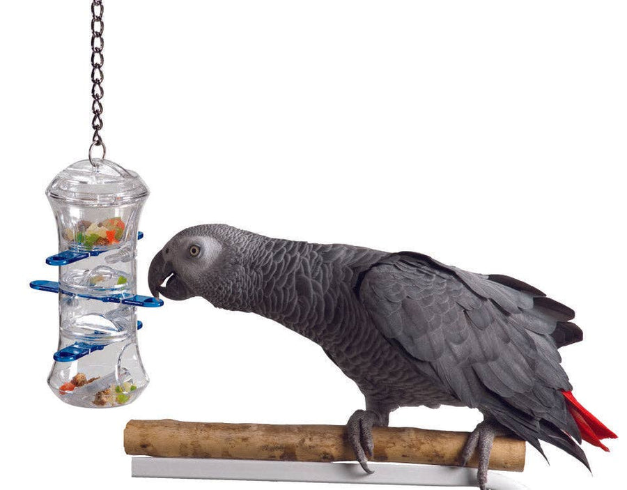 Featherland Paradise Creative Foraging Push and Pull Bird Toy by Featherland Paradise - bird treat