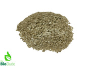 The Bio Dude Bug Grub Reptile Feeder Insect Gutload