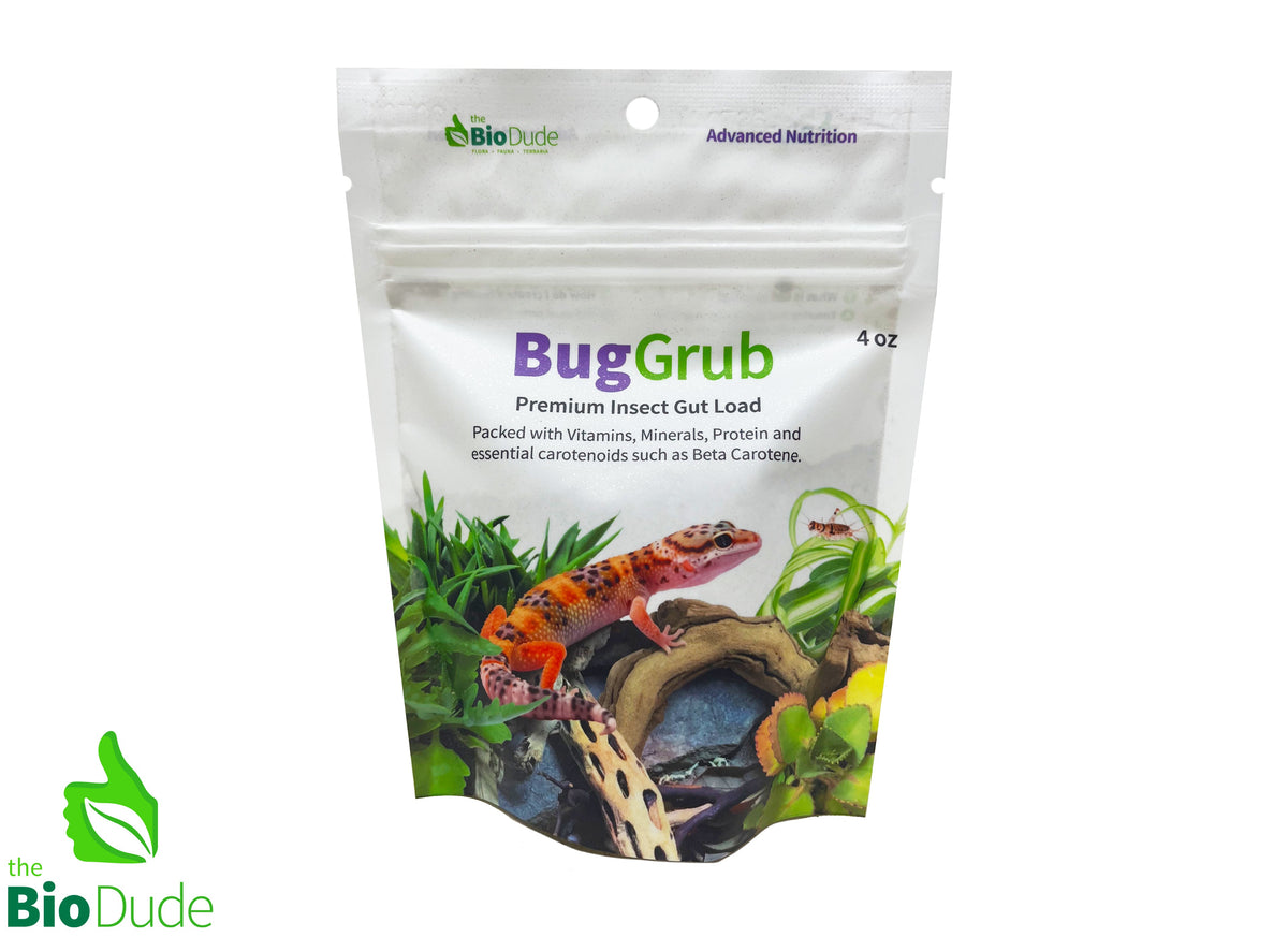 The Bio Dude Bug Grub Reptile Feeder Insect Gutload
