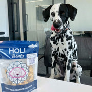 Wild Caught Salmon Dog Treats - Pristine Pet Supply