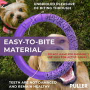 Dog Ring Fetch & Tug Toy – Mini, 2 Rings, Purple