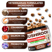 Mushroom Chews for Dogs 340 Count 2-Pack Turkey Tail Lion's Mane & Reishi