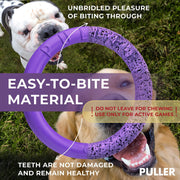 Dog Ring Fetch & Tug Toy – Large, Purple