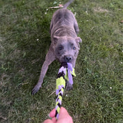 Interactive Tug & Treat-Dispenser Toy for Dogs – Lavender