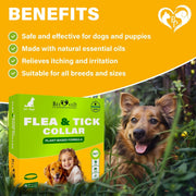Flea & Tick Collar for Dogs 6-Month Protection Essential Oil Repellent 1 Pack