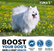 Omega-3 Fish Oil for Dogs – 2-Pack
