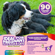 Prenatal Multivitamin for Dogs & Cats – Folic Acid & Minerals