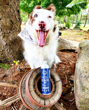 HOLI Icelandic Salmon Oil for Dogs | Extra Virgin - Pristine Pet Supply
