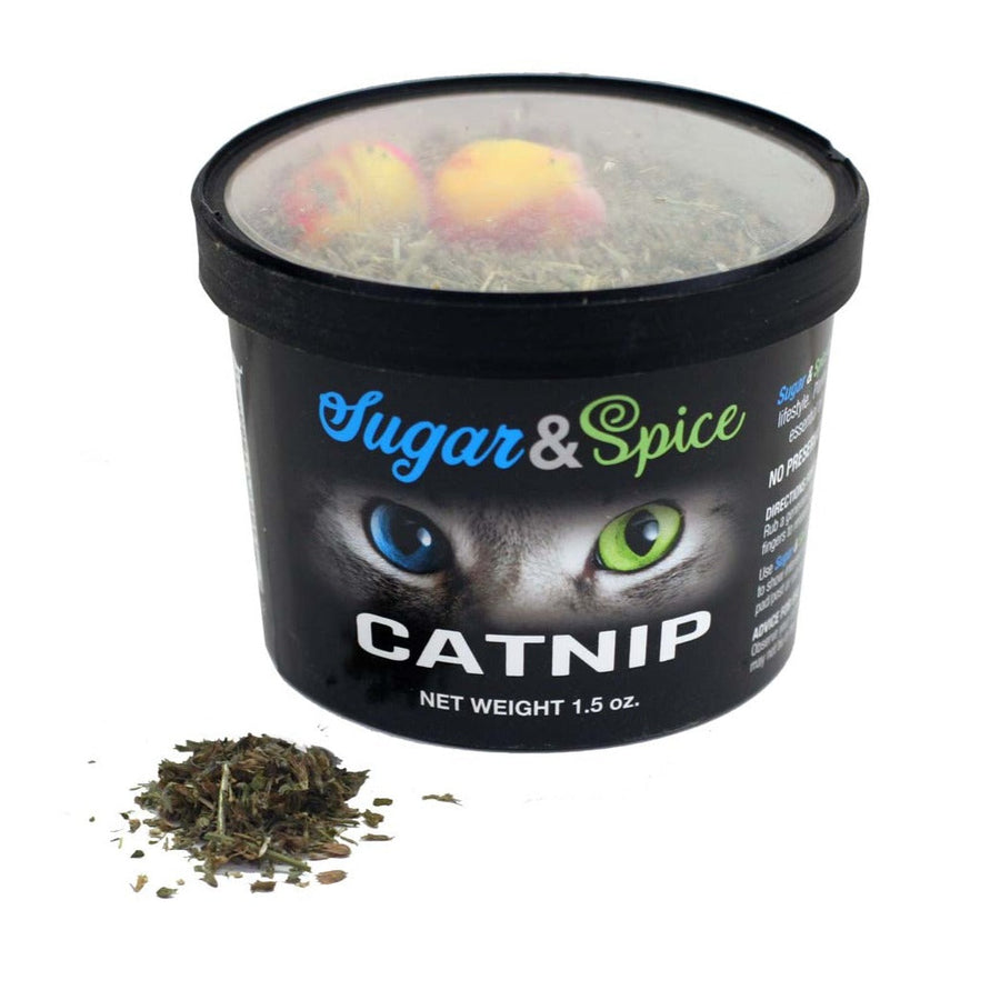 ChewMax Sugar & Spice Catnip – 1.5 oz Container