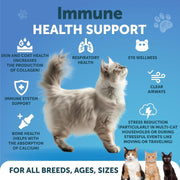 L-Lysine Powder for Cats – 900 mg per Serving