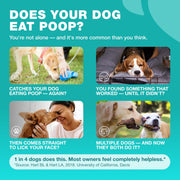 No Poo Chews for Dogs  Coprophagia Deterrent  Dog Probiotics for Digestive Health with Enzymes  Canine Stool Eating Deterrent  Digestive, Dental, Gut & Immune Health Treats  No Poop Eating