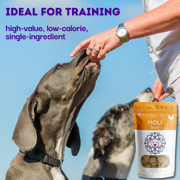 Chicken Breast Dog Treats - Pristine Pet Supply