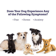 Moe's Healthy Pets Chillout Calming Soft Chews for Dogs