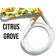 Classic Collection Leashes - Pristine Pet Supply