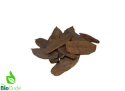 The Bio Dude Reptile Decor – Colombian Cacao Leaf Litter, 20 Count