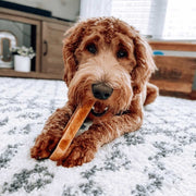 Yak9 Chews 100% Yak Milk Chews for Dogs