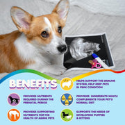 Prenatal Multivitamin for Dogs & Cats – Folic Acid & Minerals