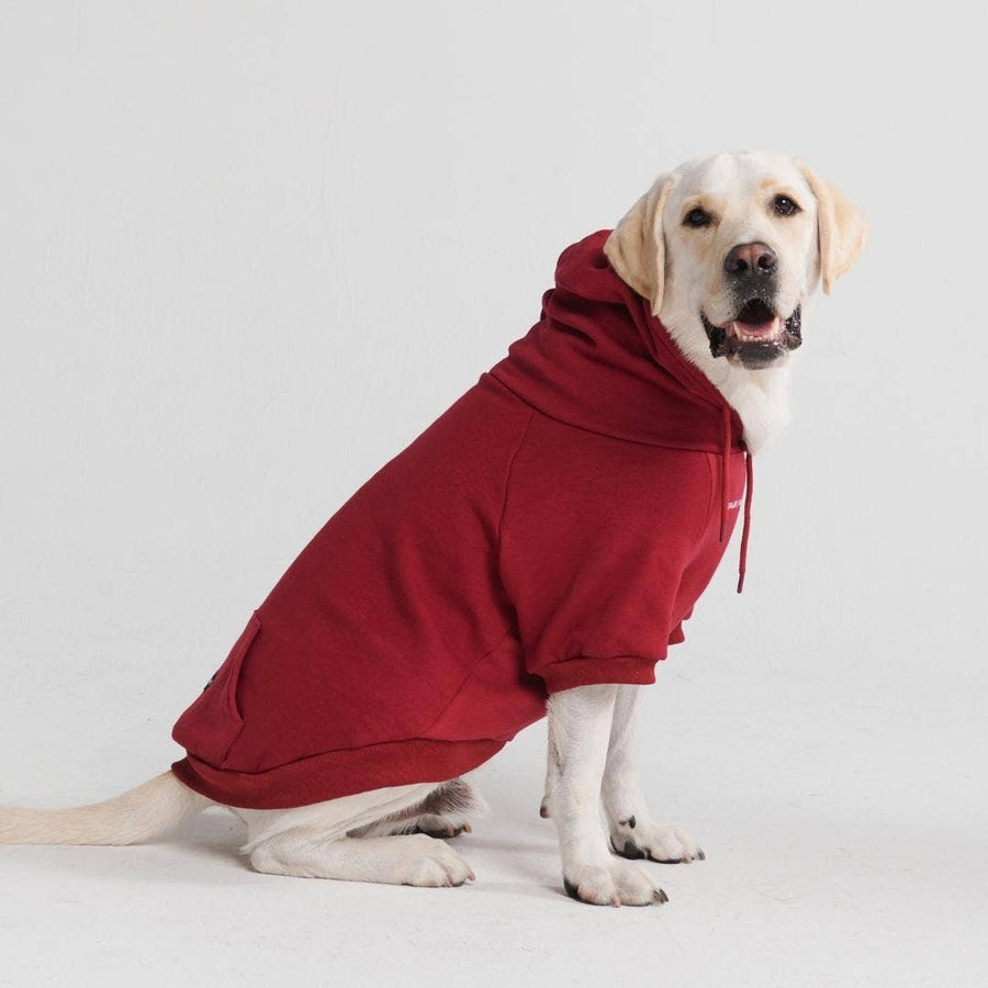 Spark Paws Essential Dog Hoodie – Burgundy