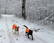 SafetyPUP XD Hi-Visibility Reflective Dog Vest – Orange, Large