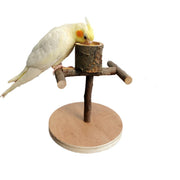 Solid Wood Bird Perch & Training Shelf – Natural Parrot Play Station