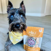 Chicken Breast Dog Treats - Pristine Pet Supply
