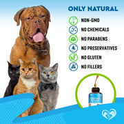 Kennel Cough Supplement for Dogs & Cats Cold & Cough Relief