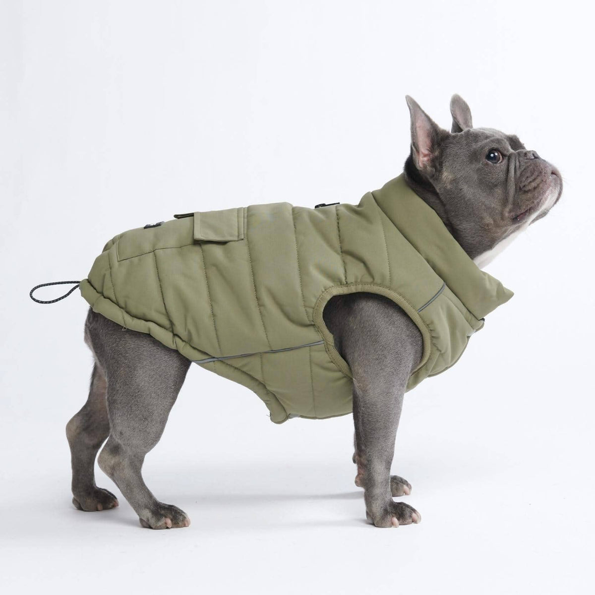 Spark Paws WarmShield Water-Resistant Dog Jacket – Olive