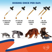 Beloved Pets Skin & Ear Supplement Drops for Dogs