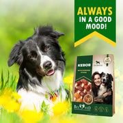 Beloved Pets Chicken & Duck Rawhide Kebab Dog Chews – 10.6 oz