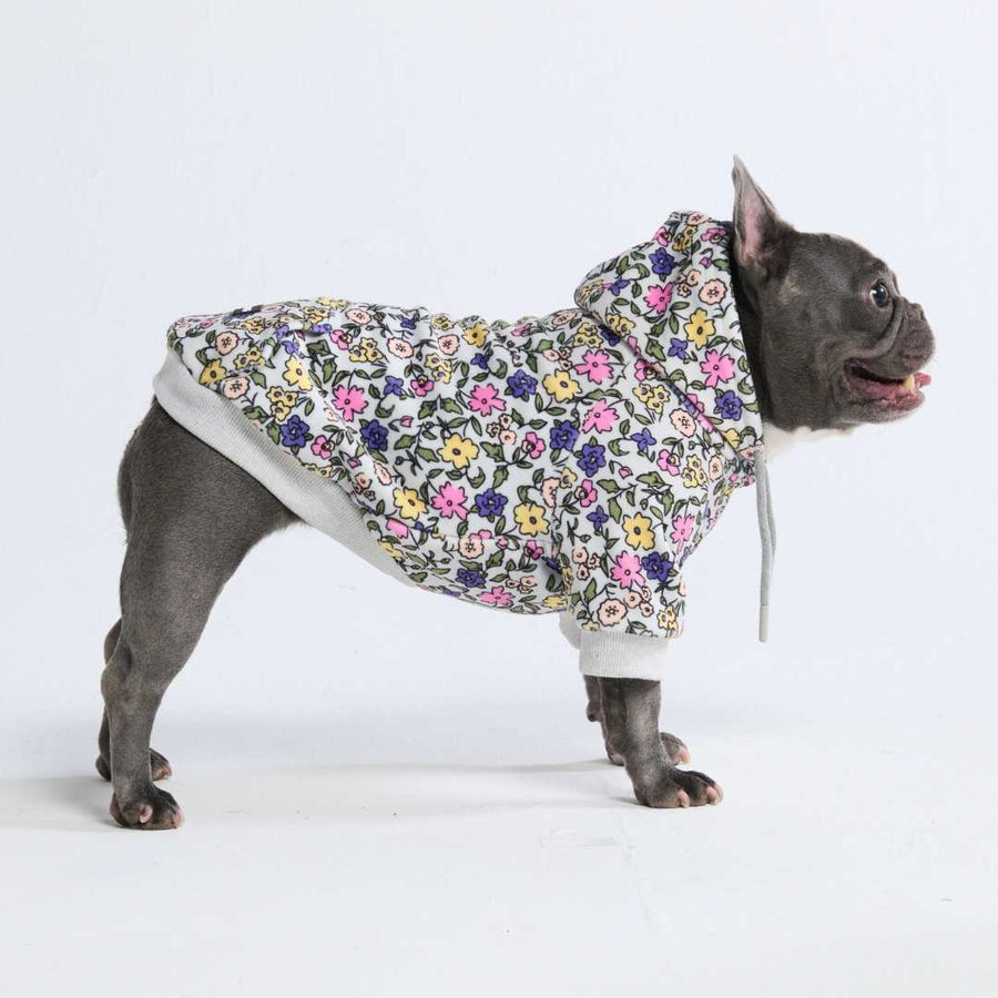 Spark Paws Vintage Flower Dog Hoodie – Light Grey