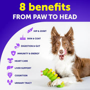 Dog Multivitamin Chews with Glucosamine 20-in-1