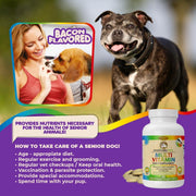 Prenatal Vitamins for Dogs & Cats 60 Pills Folic Acid & Minerals