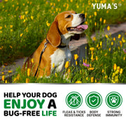 Yuma's Flea & Tick Chews for Dogs 170 Count Oral All Breeds & Ages