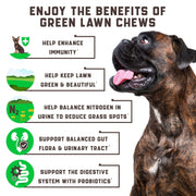 Green Lawn Support Chews for Dogs