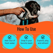Portable Dog Water Bottle – 12 fl oz