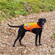 SafetyPUP XD Hi-Visibility Reflective Dog Vest – Orange, Large